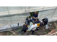 7 metrelik duvardan düşen çiftçi yaralandı