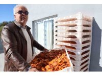 Köyde kurulan tesisle kurutulan cennet hurmaları Almanya’ya ihraç edildi