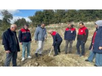 Eğirdir Gölü’ndeki kuraklık tarımda yön değiştirdi