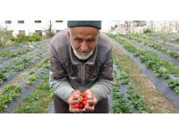 Türkiye onu yoldan geçenlere bahçesinden ikram ettiği meyvelerle tanıdı, bugün acı haber geldi