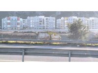 Kaza yapan tırdan kaçan anguslar şehir turunda