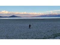 Batı Akdeniz göllerinde tehlike çanları: Burdur Gölü son 50 yılda su hacminin yarısını kaybetti