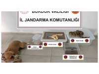 Operasyon yapılan ev hayvanat bahçesi gibi çıktı