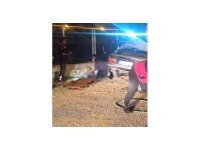 Osmaniye’de otomobil park halindeki kamyona çarptı: 1 ölü, 2 yaralı