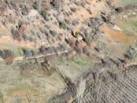 Nurhak’ta yaban domuzu avı yapıldı