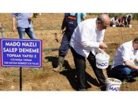 MADO’dan "Salep Manifestosu"