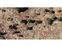 Sokak hayvanları sıcak yuvaya kavuştu