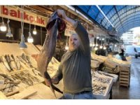 Akdeniz’de 1,5 metrelik Atlas balığı yakalandı