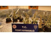 Villada uyuşturucu yetiştirmişler: Torbacı ’sevgililer’ yakalandı, 4 kilo uyuşturucu ele geçirildi