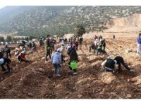 Korkuteli’nde 3 bin fidan toprakla buluştu