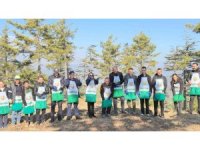 Adana’da bir yılda 50 ton sedir tohumu toprakla buluştu