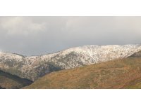 Amanoslar beyaza büründü