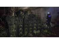 Alanya’da muz sarartma tesisinde yangın: Tonlarca muz zarar gördü