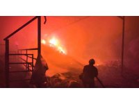 Samanlıktan yükselen alevler, besihaneye ulaşmadan kontrol altına alındı