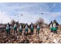 Şehidin adı sedir ormanında yaşatılıyor