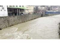 Adana’da kuruyan dereler yağışla coşmaya başladı