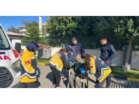 Kayıp alzaymır hastası adam evine 12 kilometre mesafede bulundu