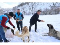 Karla kaplanan orman ve yaylalardaki canlılara şefkat eli