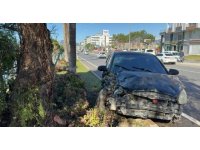 Antalya’da otomobil refüjdeki ağaca çarptı: 2 yaralı