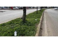 Antalya’da iki öğrenci karne almak için okula giderken kaza yaptı: 1 ölü, 1 yaralı