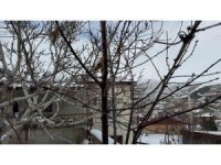 52 yılın en kurak zamanını geçiren çiftçi yağışlarla sevindi: İkinci üründe su sıkıntısı yaşanmayacak