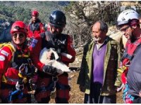 Uçurumdan düşen kuzuyu ekipler kurtardı