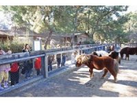 Doğal Yaşam Parkı’nda çocuklara hayvan ve doğa sevgisi aşılanıyor