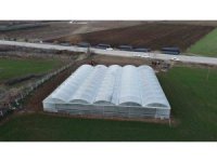 Devlet desteğiyle kendi işlerinin sahibi oldular, üretime başladılar