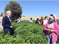 Kahramanmaraş Büyükşehir’den 2025’te çiftçiye 100 milyonluk destek