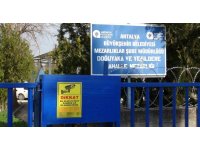 Babasının mezarındaki çiçekleri söküp uyuşturucu sakladılar