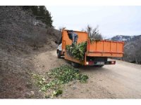 Isparta’da kışın aç kalan yaban hayvanlarına duyarlı dokunuş