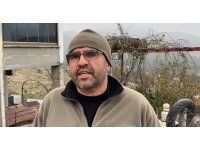 Sokak köpekleri, sahipli köpeği parçaladı