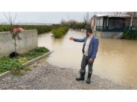 Sağanak sonrası evde mahsur kalan 4 köpek iş makinesiyle kurtarıldı