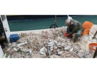 Silifke’de balık çiftliğinin ağı yırtıldı, kıyılar balıkla doldu