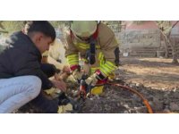 Patisi zincire sıkışan köpeğe hayat kurtaran müdahale