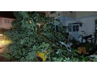 Hortum Manavgat’ı savaş alanına çevirdi