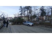 Isparta’da fırtına ağacı kökünden söküp park halindeki aracın üzerine devirdi
