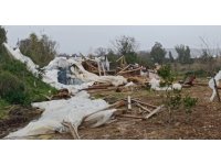 Manavgat’ta hortum 300 dönümlük alanda seraları yerle bir etti