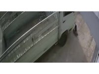 Kedi ezen sürücüye hayvan barınağında çalışma cezası