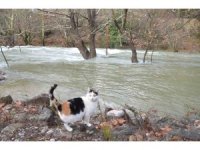 Toroslar’da yağış bereketi kuruyan Üzümdere Irmağını yeniden canlandırdı, şelaleler coştu