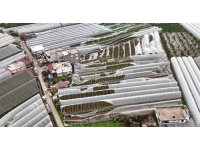 Finike’de hortumdan zarar gören seralarda hasar tespiti başladı