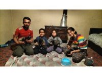 Fırtına sonrası devrilen ağaçların altında kalarak telef olan anne köpeğin yavrularına sahip çıktılar