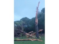 Golf sahasına düşen yıldırım ağacı parçalara ayırdı