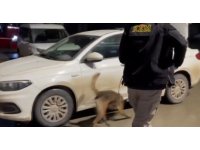 Binlerce uyuşturucu hap ele geçirildi: 3 kişi tutuklandı