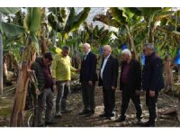 TZOB Genel Başkanı Bayraktar: "Doğal afetler tarım sektörünü her geçen yıl daha fazla etkilemektedir"