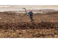 Sel sonrası deniz kahverengi oldu, sahiller odun doldu