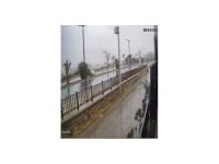 Kontrolden çıkan otomobil refüjdeki ağaca çarpıp takla attı