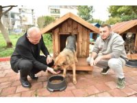 Hayırseverlerden 8 adet köpek ve 50 adet kedi kulübesi