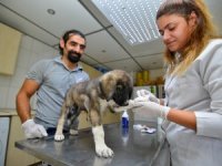 CAN DOSTLAR KURTULDU