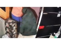 Sahibiyle samimiyet kurduğu iş yerinden önce çöpleri, sonra 250 karton sigarayı çıkarttı